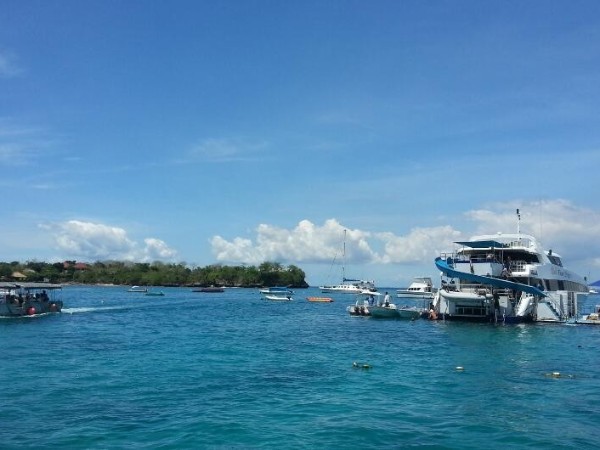 智能門(mén)鎖的機(jī)會(huì)在哪里？看完這幾幅圖你就知道了